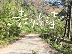 -木兰云雾山