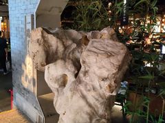 -桂满陇-十里风荷(合生汇店)