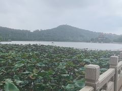 -顺峰山公园