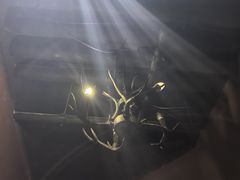 -Xcape异时刻密室逃脱魔法互动(瑞虹天地太阳宫店)