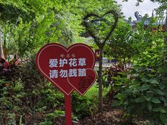 -广东花都湖国家湿地公园