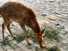 -金稼园·金平湖农家菜