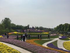 -南通洲际绿博园