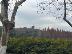 -宜兴龙背山森林公园