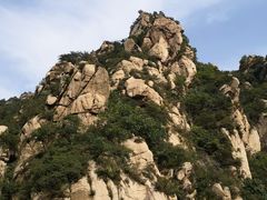 -大岭沟猕猴桃谷风景区