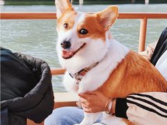 -东寨港红树林旅游区