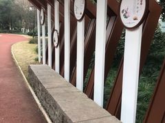 -杭州城北体育公园