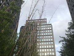 -陆家嘴世纪金融广场