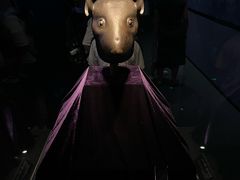 -广西壮族自治区博物馆