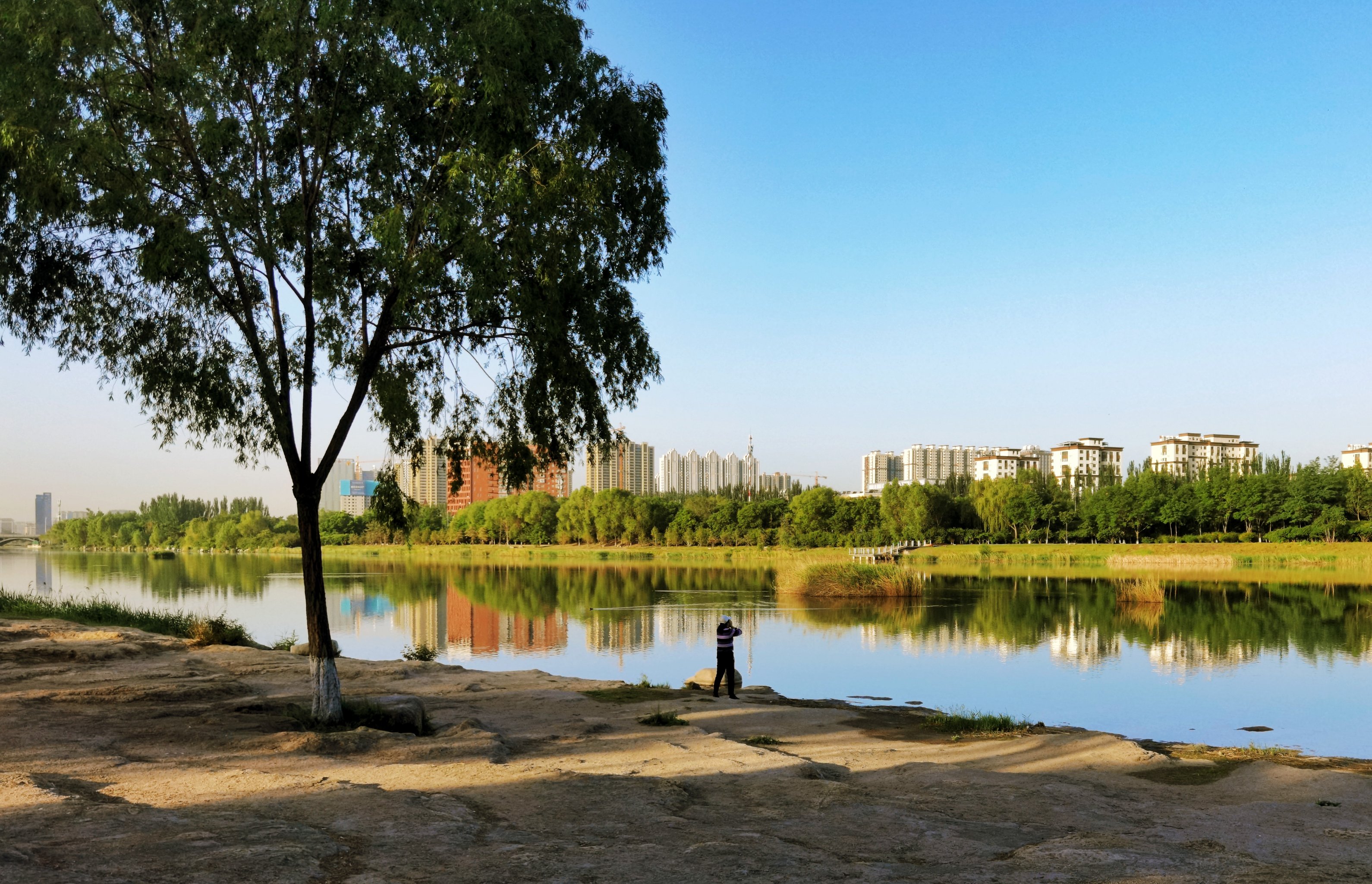 汾河湿地公园图片