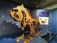 -国家自然博物馆