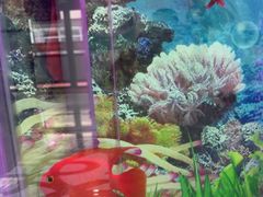 -雅悦齿科(顾村公园店)