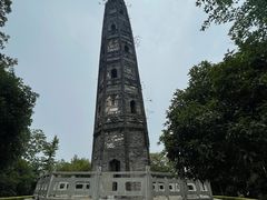 -上海佘山国家森林公园天马山园