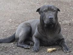 -赛百味SUBWAY(2.5产业园店)