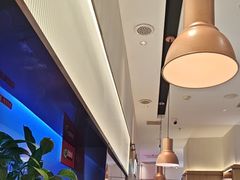 -老板恋上鱼(印象城店)