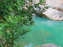 -广州白江湖森林公园