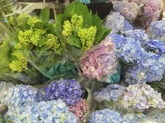 -盒马鲜生(岭南新世界店)