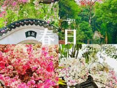 -深圳国际园林花卉博览园