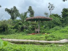 -海南热带野生动植物园