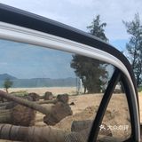 今天的快乐是蓝色的,是西涌给的