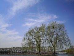 -大兴滨河森林公园