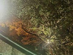 -宋宴(虎跑店)