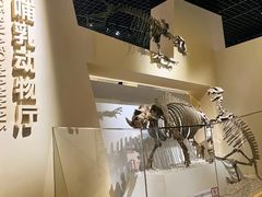 -国家自然博物馆