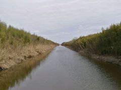 湿地-黄海国家森林公园