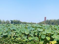 -云龙湖旅游景区