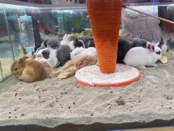 -meland亲子乐园•派对•研学(苏州悠方购物中心店)