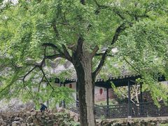 -无锡惠山寺
