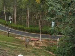 -合肥滨湖国家森林公园