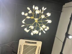 -菲·木田moontin造型salon
