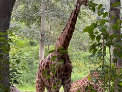 -北京野生动物园