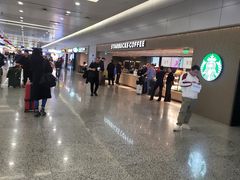 -星巴克(浦东机场T2到达店)