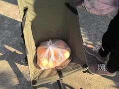 -前小桔亲子创意农场·草莓采摘·露营烧烤