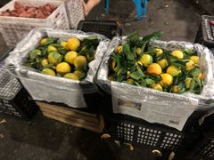 -菜园坝水果市场