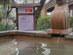-张家港金凤凰度假村温泉