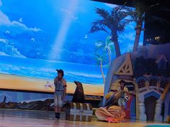 -三亚海昌梦幻海洋不夜城