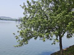 -石湖景区