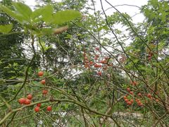 -白鹭湾湿地公园