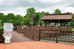 -派对猴生日派对策划(浦东店)