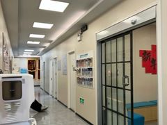 -美联众合爱康动物医院•复杂内科•肿瘤科•牙科•腔镜诊疗中心