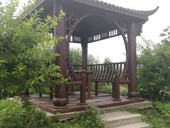 -樂桃源奉贤黄桃种植采摘基地