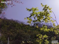 -藏龙百瀑风景区