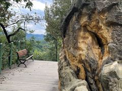 -南山植物园