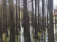 -采石矶景区