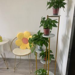-凡碧诗毛孔收细
