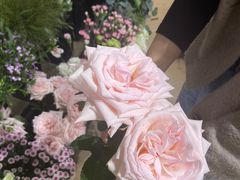 -ChaKo Flora ·茶子花艺 (市北店)