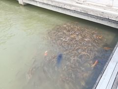 景点-惠州西湖